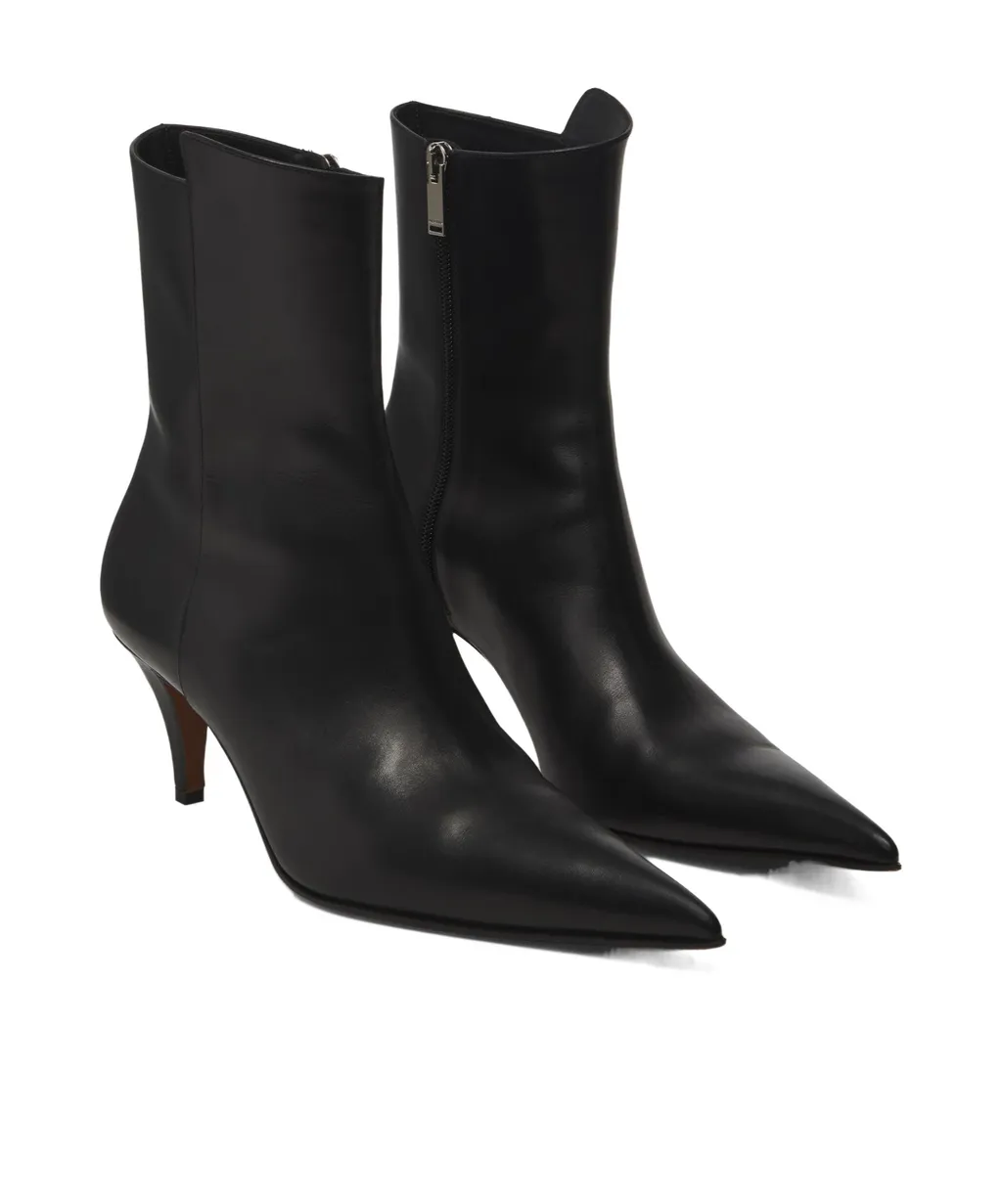 Birdee Pointed-Toe Ankle Boots