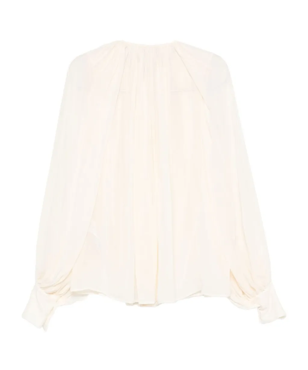 Translucent Blouse