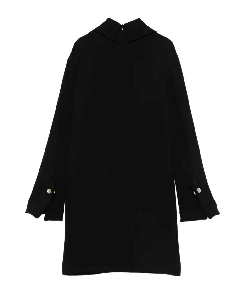 Long Sleeve Dress