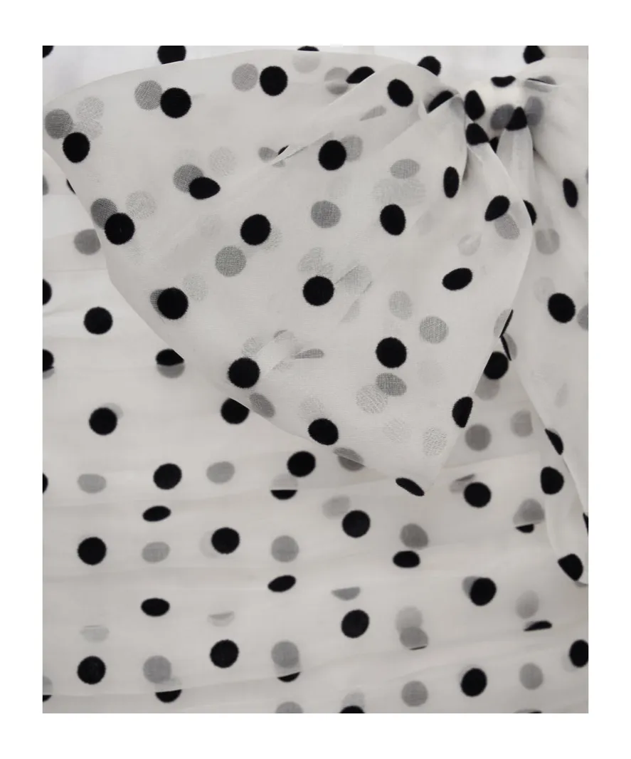 Polka-Dot Organza Mini Dress