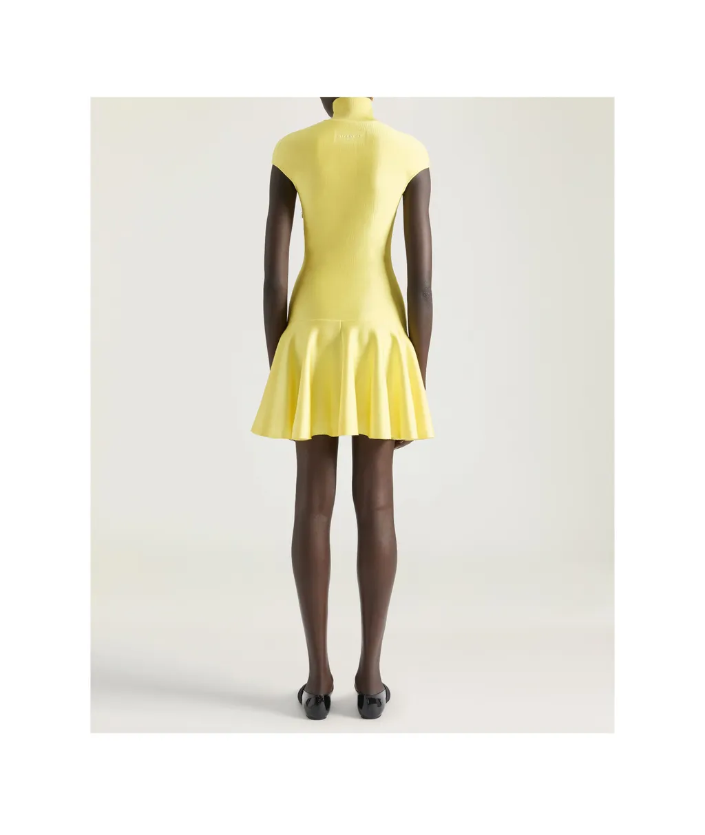 Flared Mini Dress