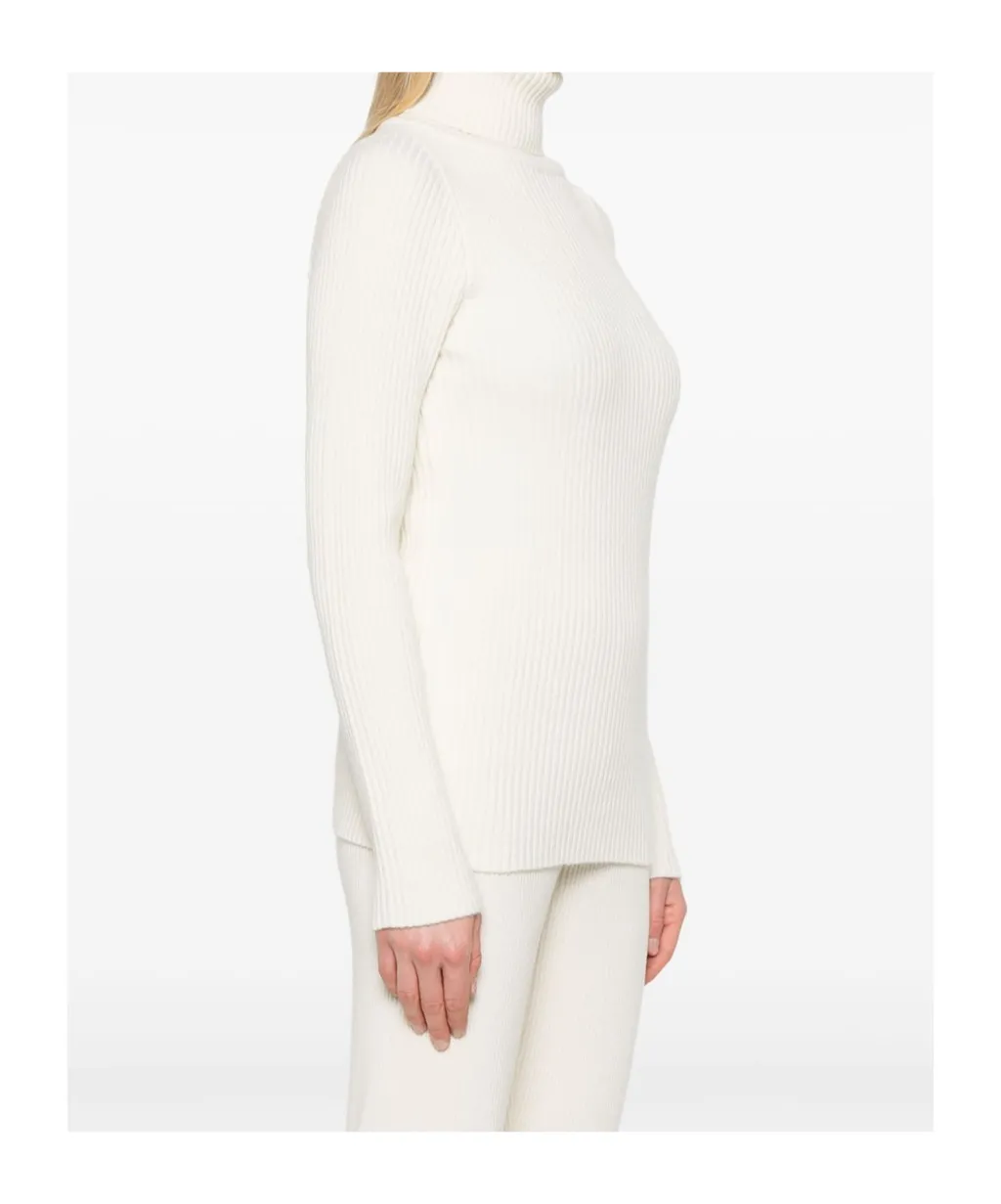 Turtleneck Sweater