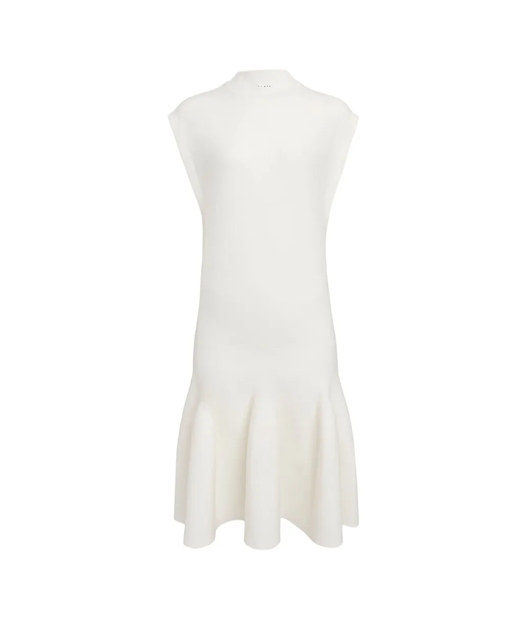 Wool Covered Sleeve Dress