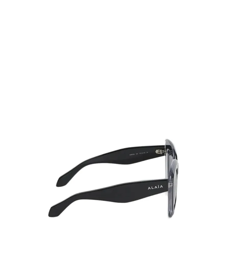 Oversized Frame Sunglasses