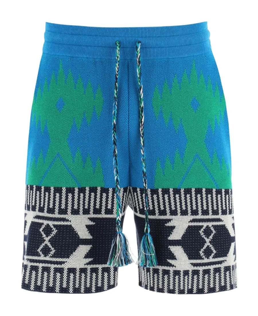 Intarsia Motif Drawstring Shorts