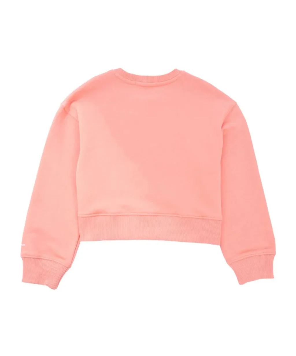 Ck Logo Crewneck Sweatshirt
