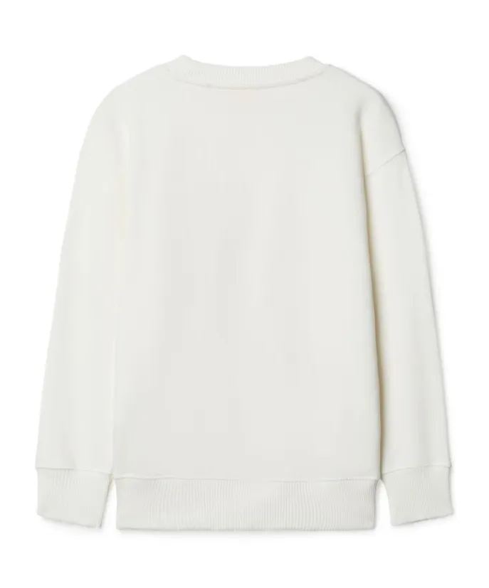 Big Bookish Sweatshirt