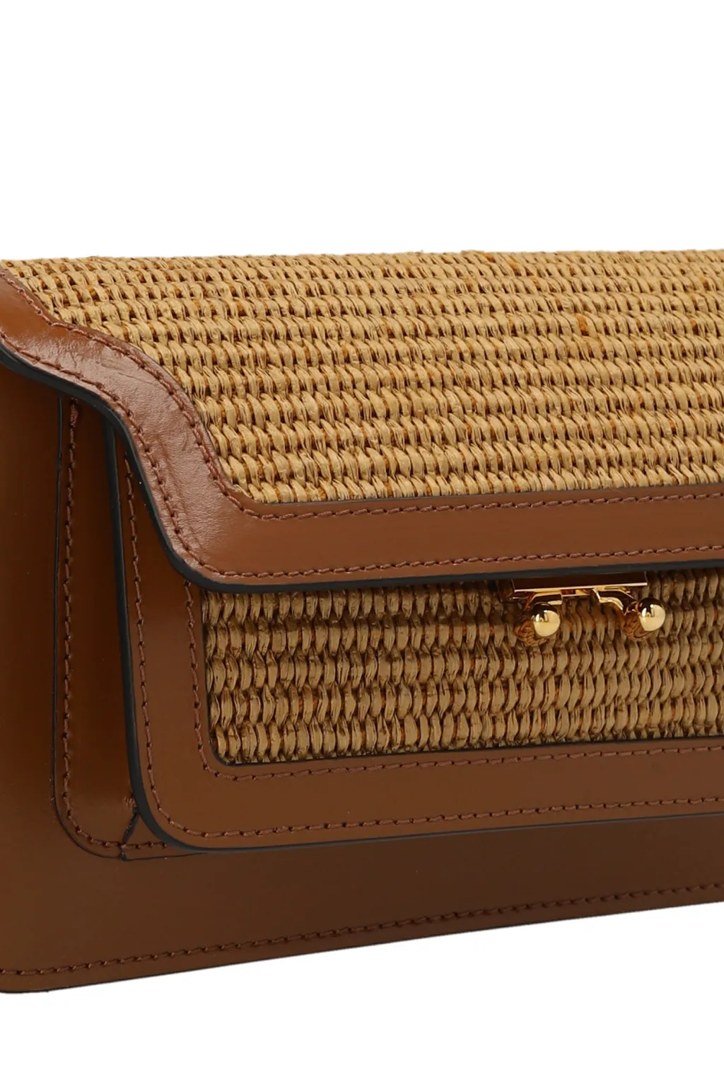 Trunk Soft Raffia Bag