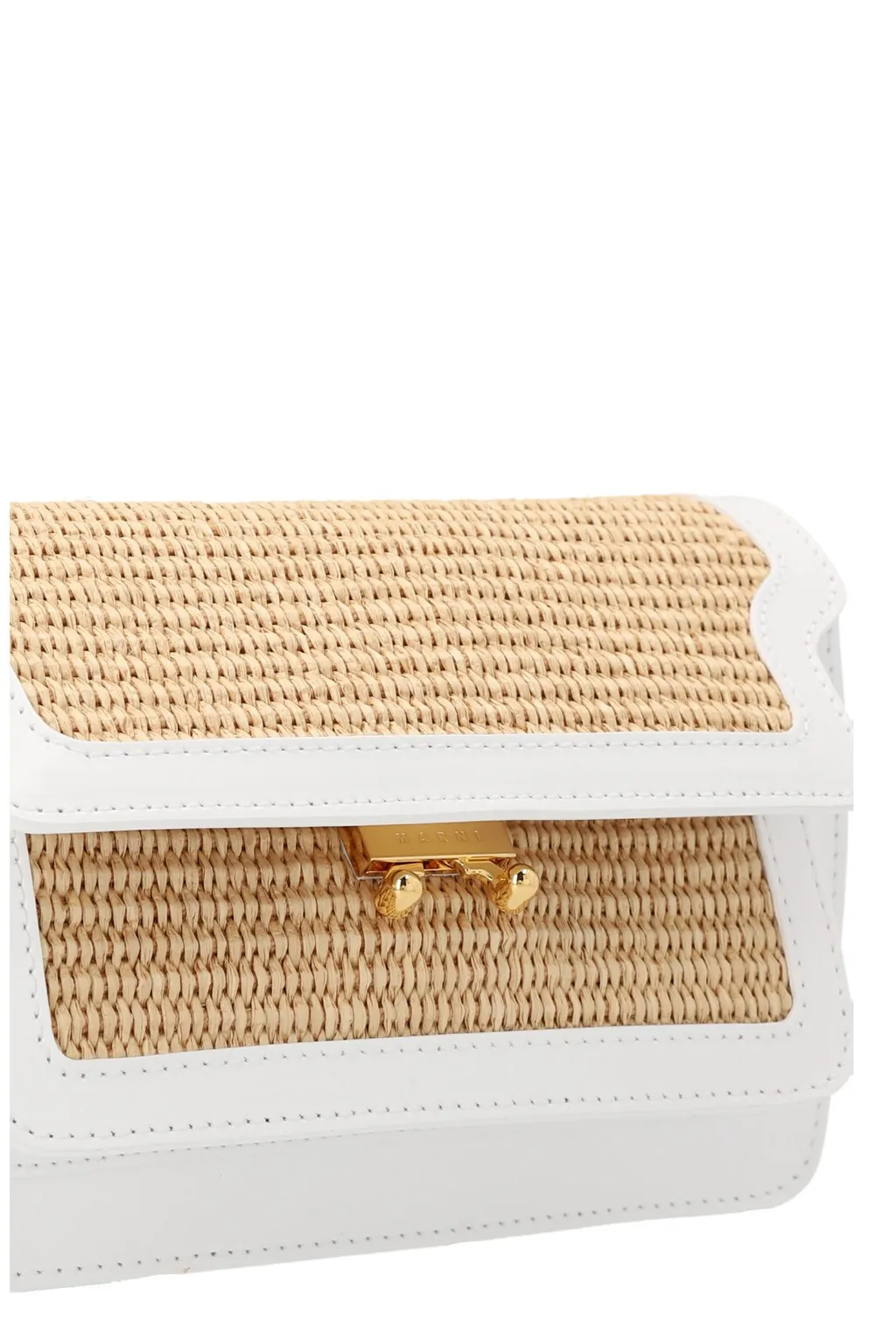 Two-Toned Trunk Soft Crossbody Bag