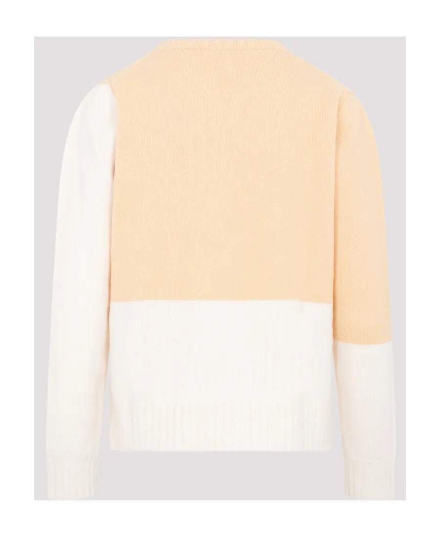 Colour-Blocked Crewneck Knitted Jumper