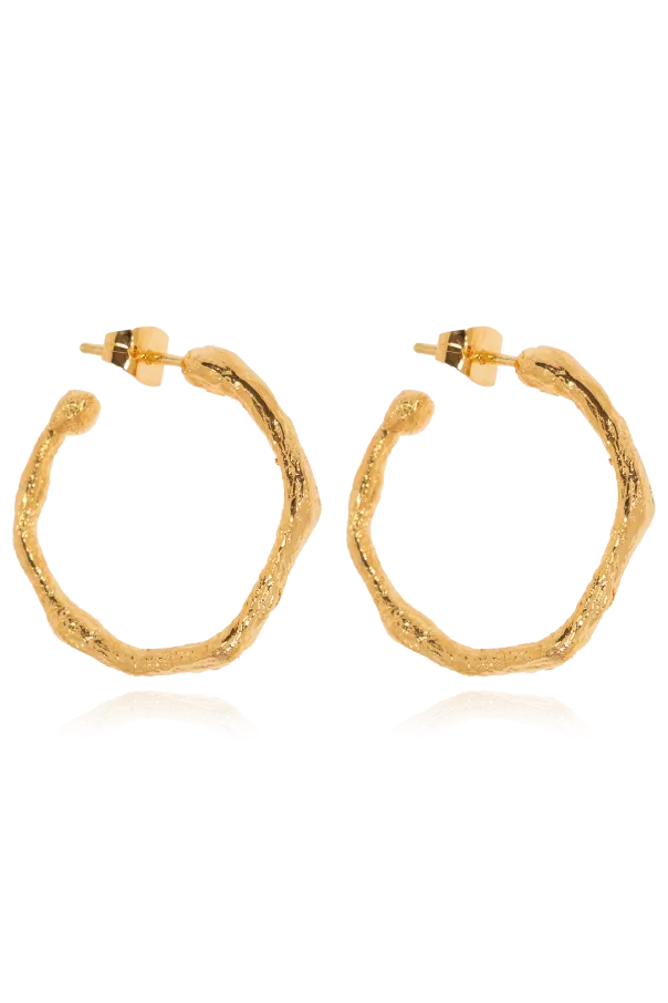 Ring Earrings