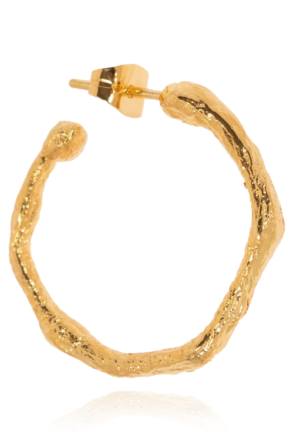 Ring Earrings