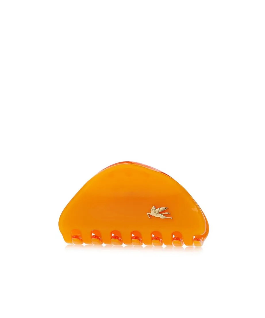 Logo Hairpin