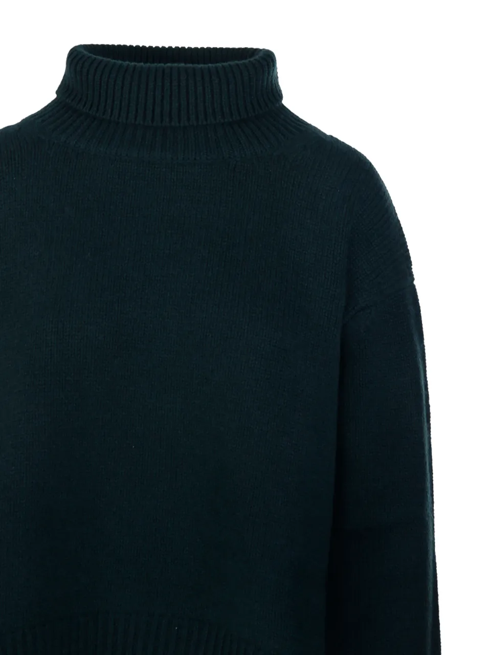 Long-Sleeved Turtleneck Sweater