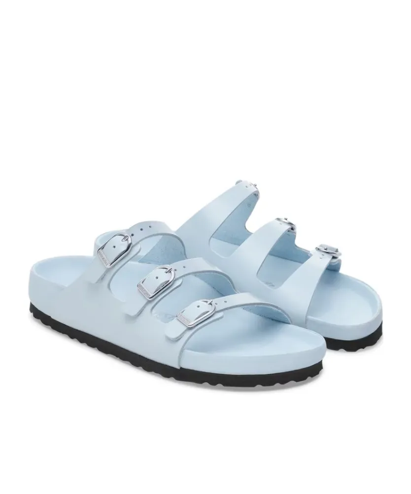 Florida Fresh Slides