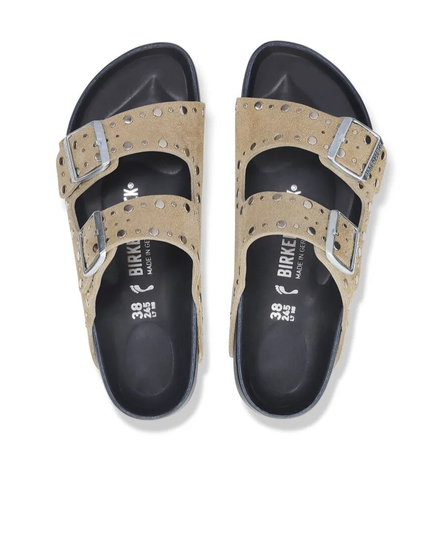 Arizona Rivet Detailed Slides