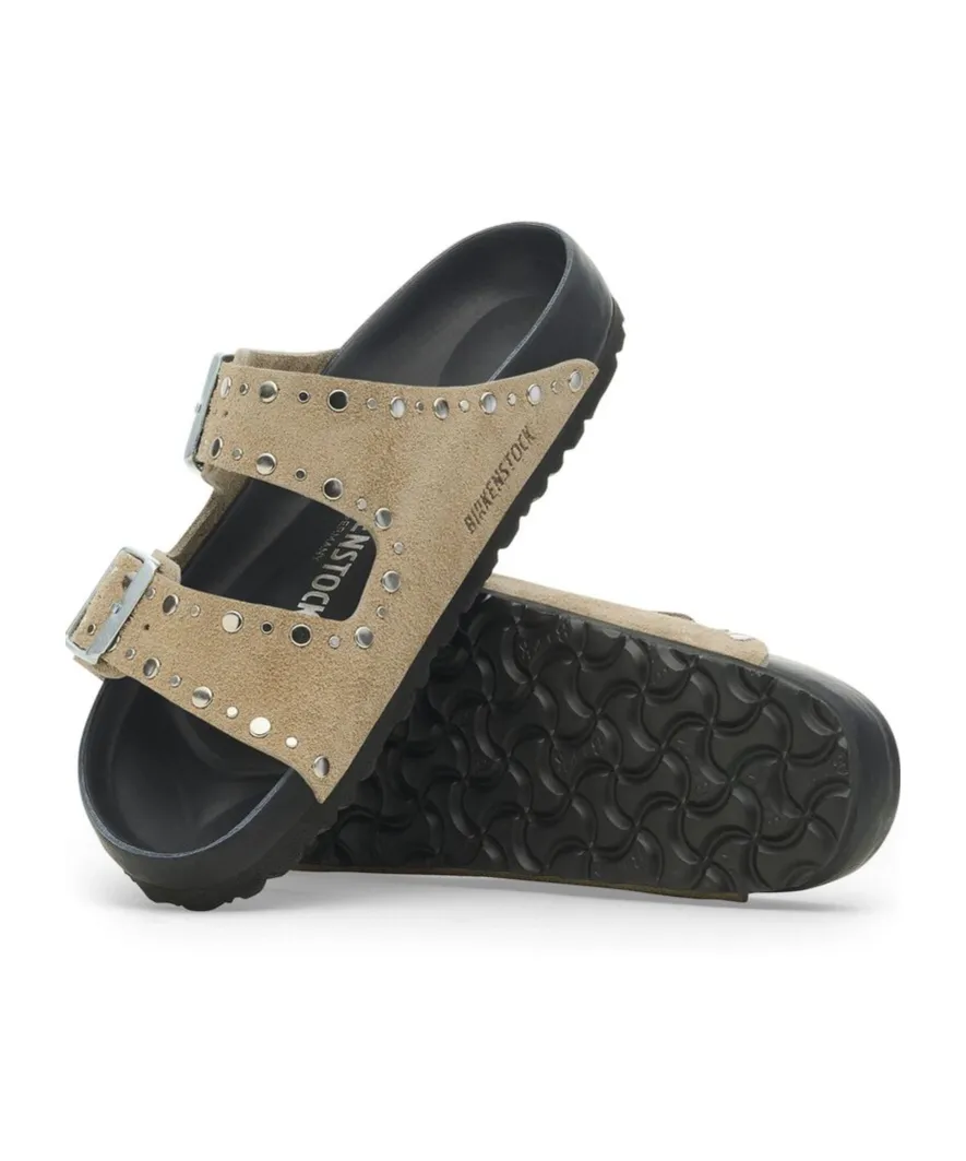Arizona Rivet Detailed Slides