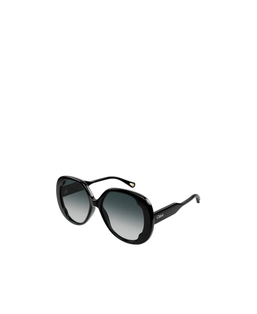 Butterfly Frame Sunglasses