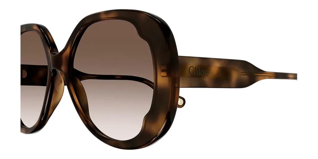 Butterfly Frame Sunglasses