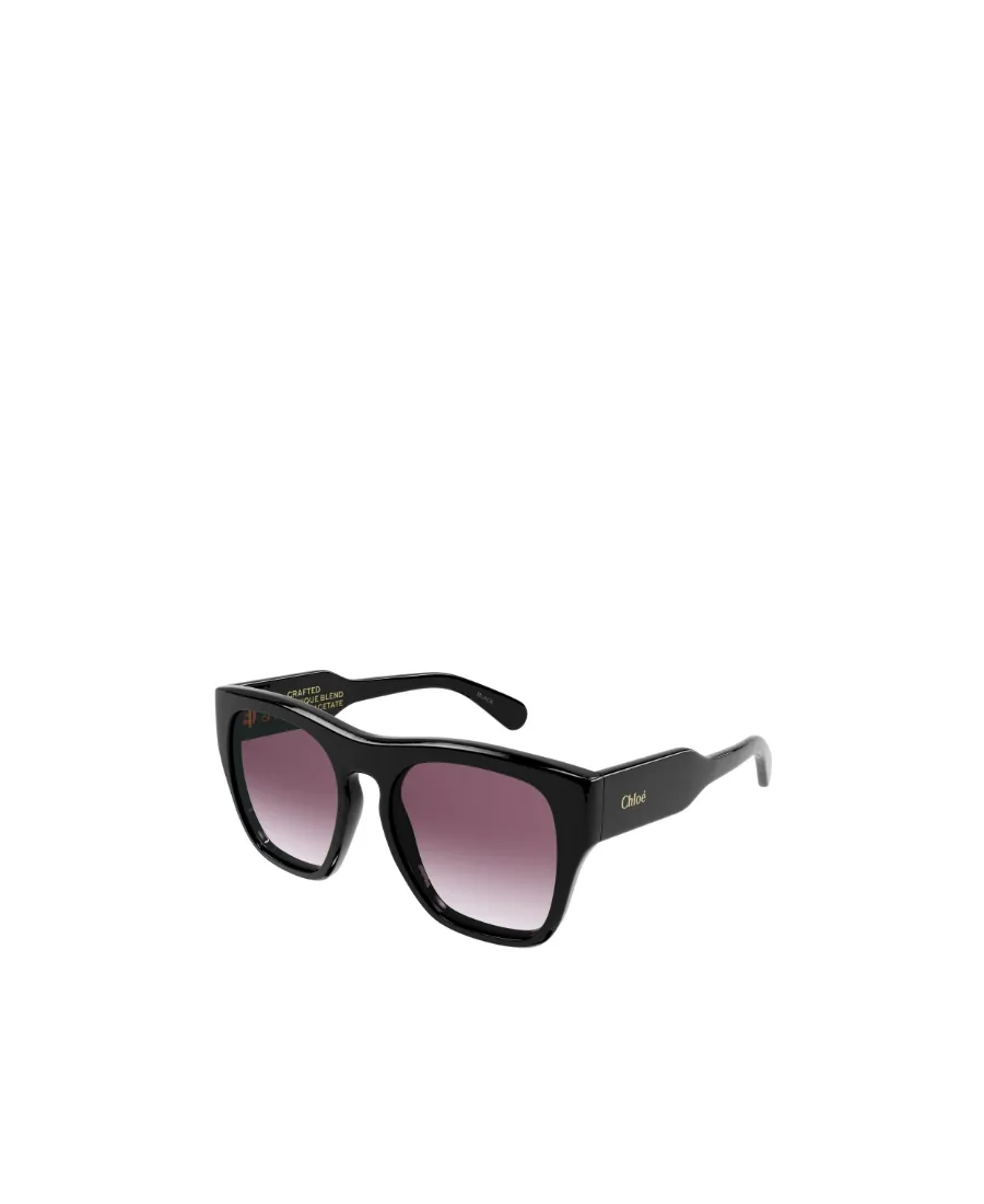 Square Frame Sunglasses