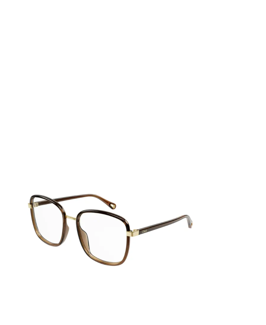 Square Frame Glasses