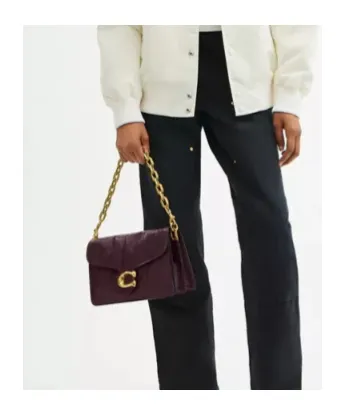 Tabby Chain Shoulder Bag
