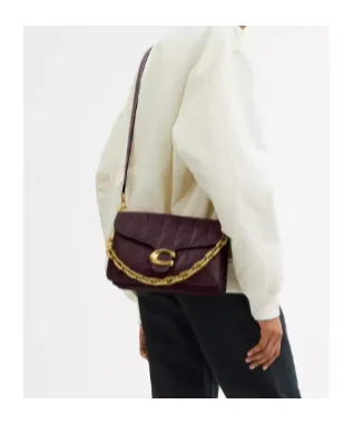 Tabby Chain Shoulder Bag