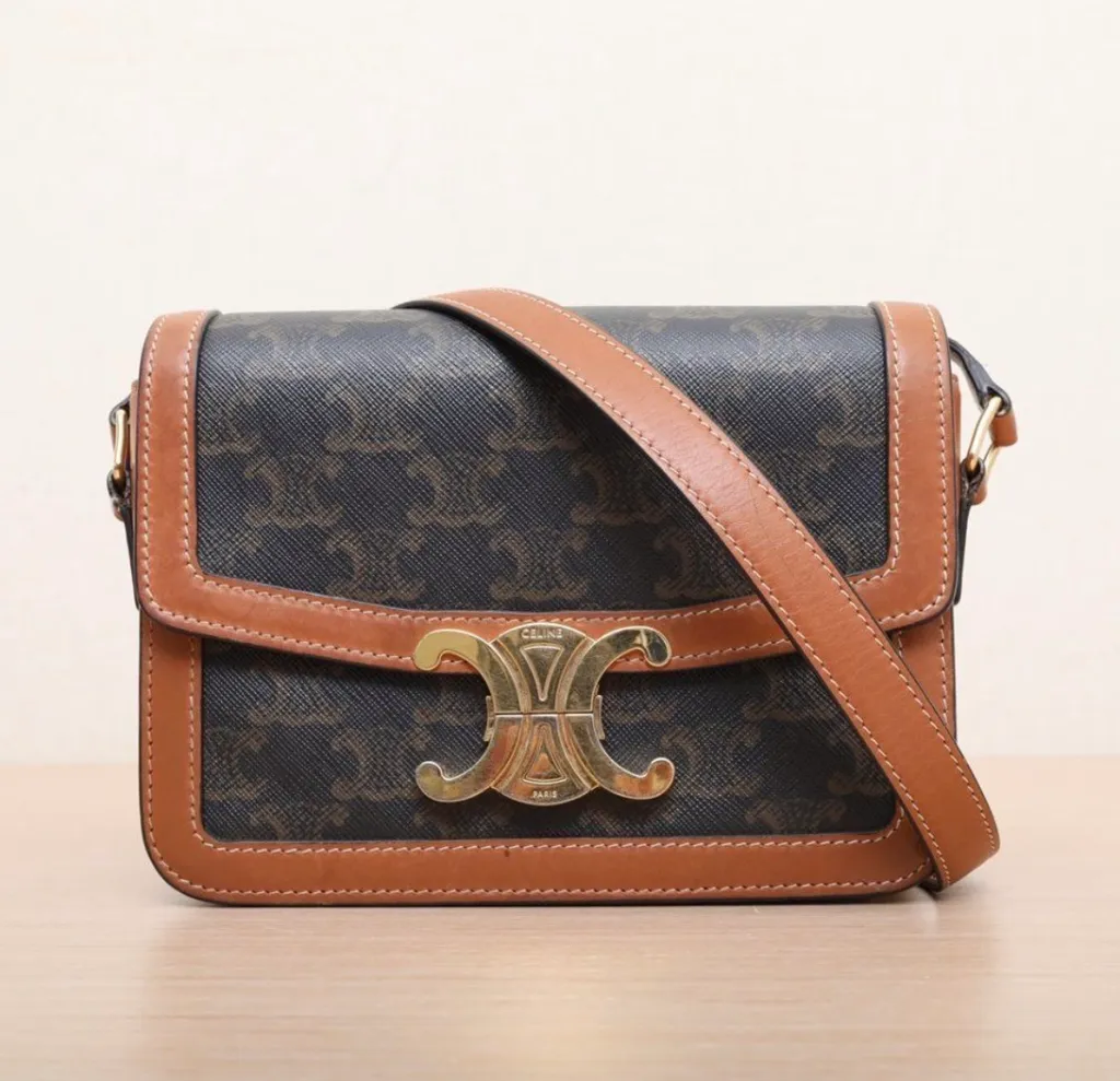 Teen Triomphe Bag In Triomphe Canvas And Calfskin