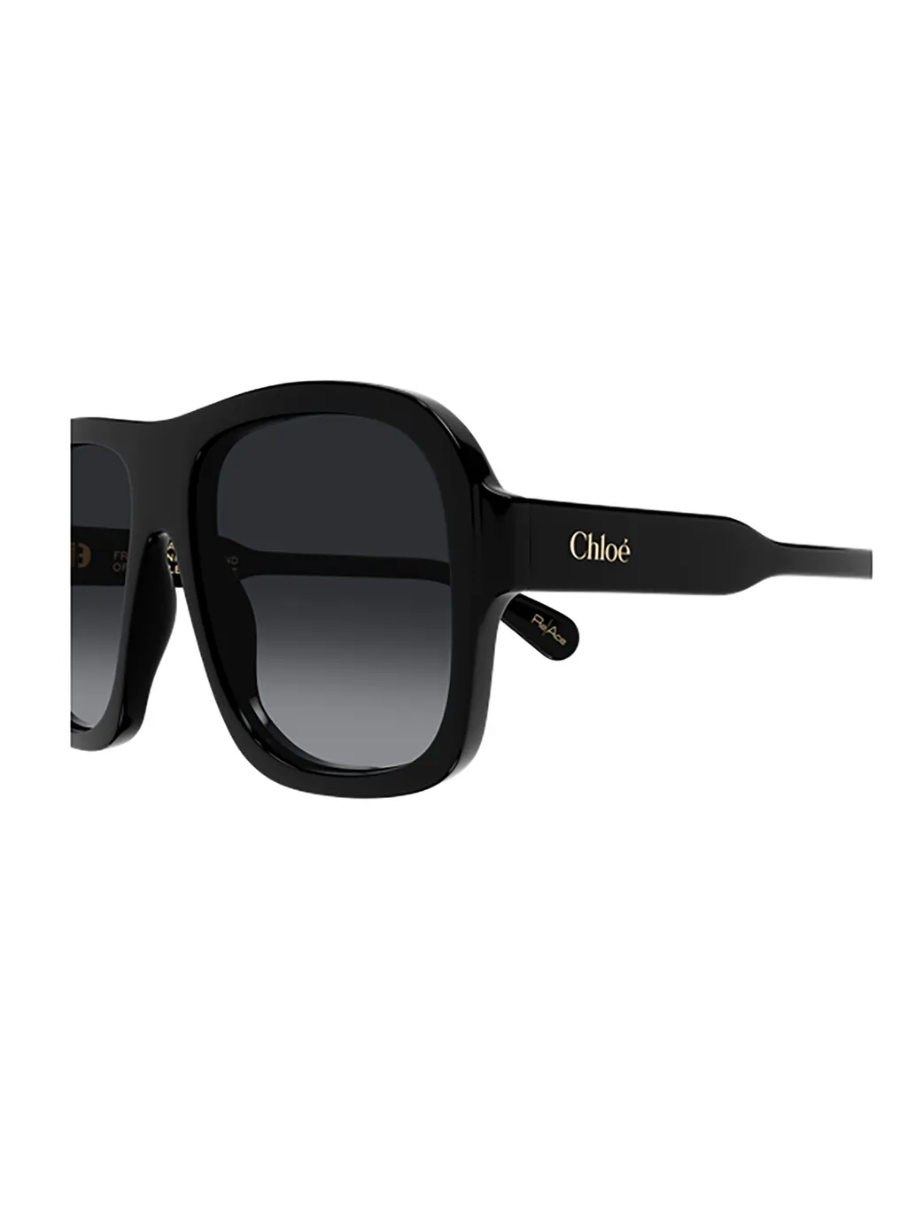 Square Frame Sunglasses