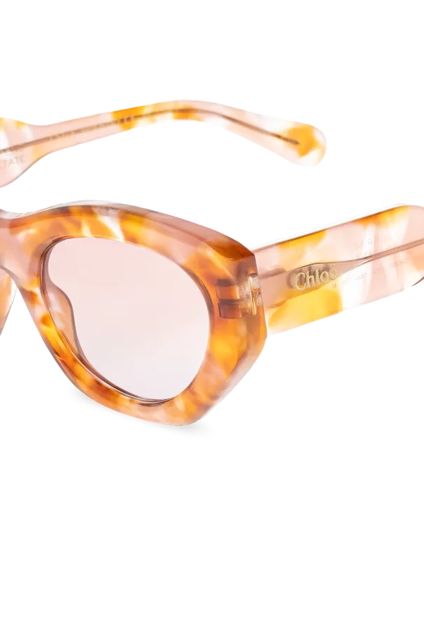 Full Frame Sunglasses