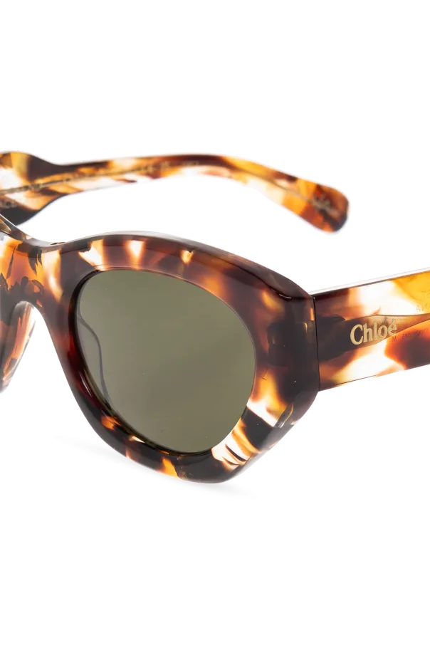 Full Frame Sunglasses