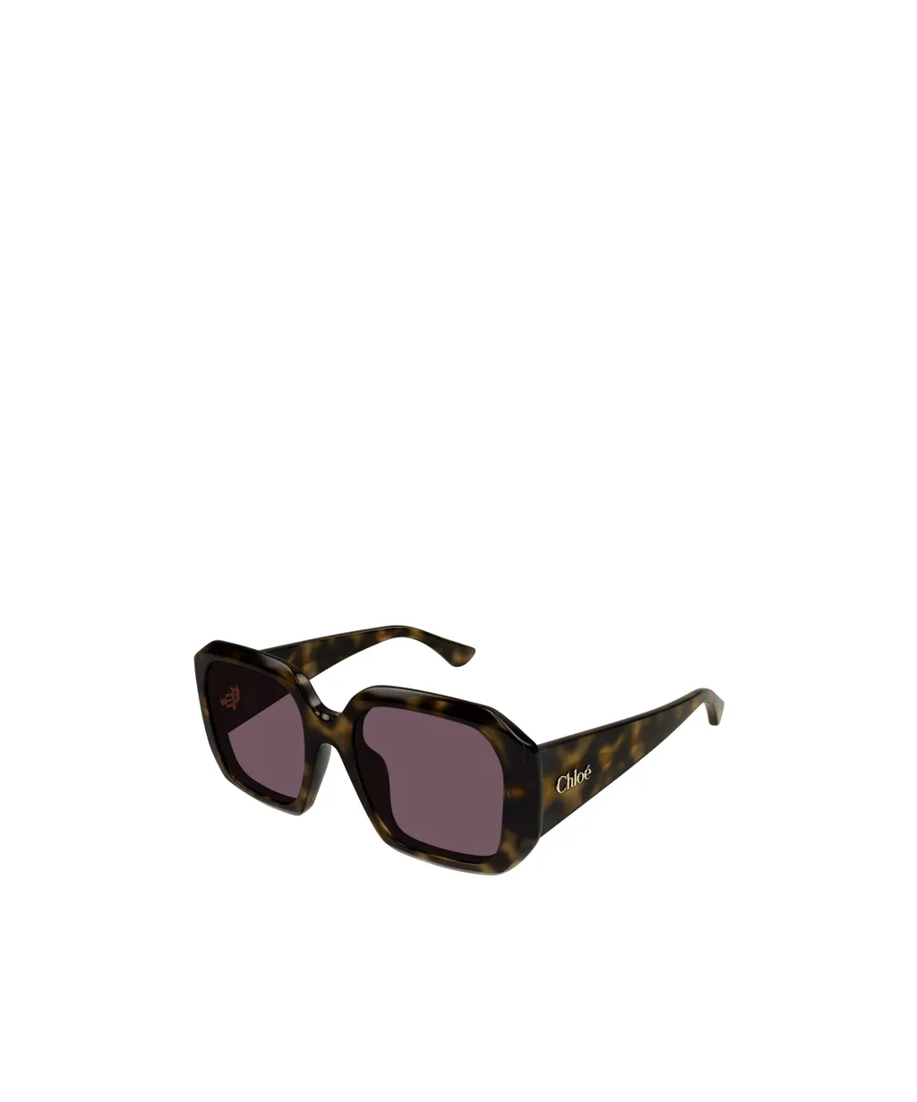 Geometric Frame Sunglasses