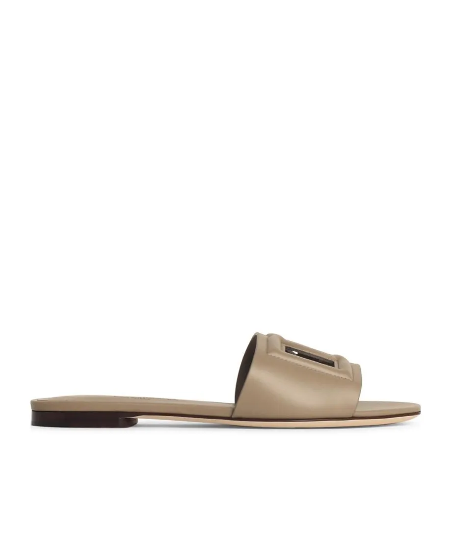 Dg Logo Cut Out Slides