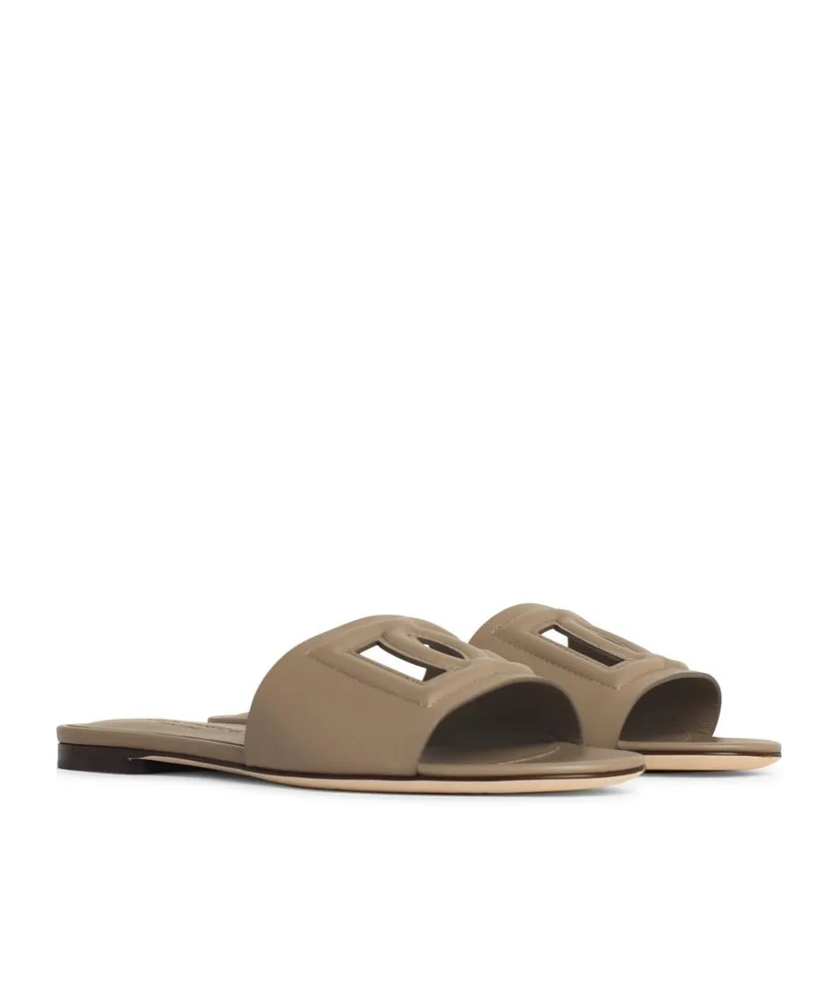 Dg Logo Cut Out Slides