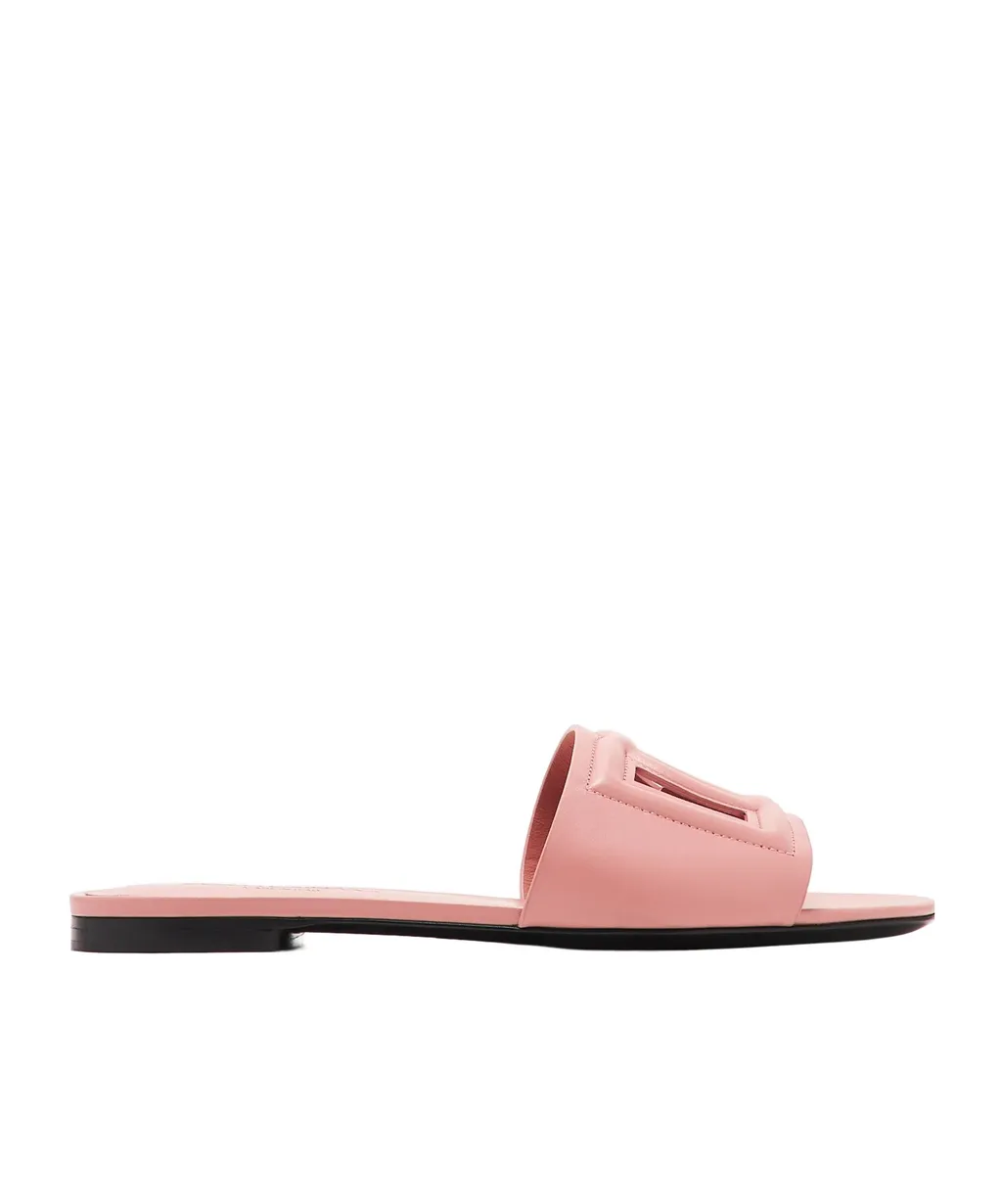 Dg Logo Cut Out Slides