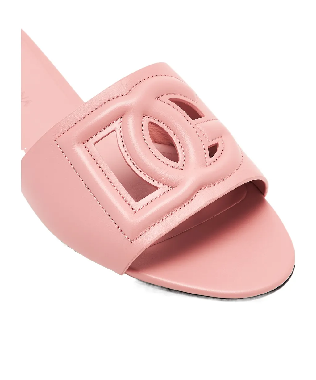 Dg Logo Cut Out Slides