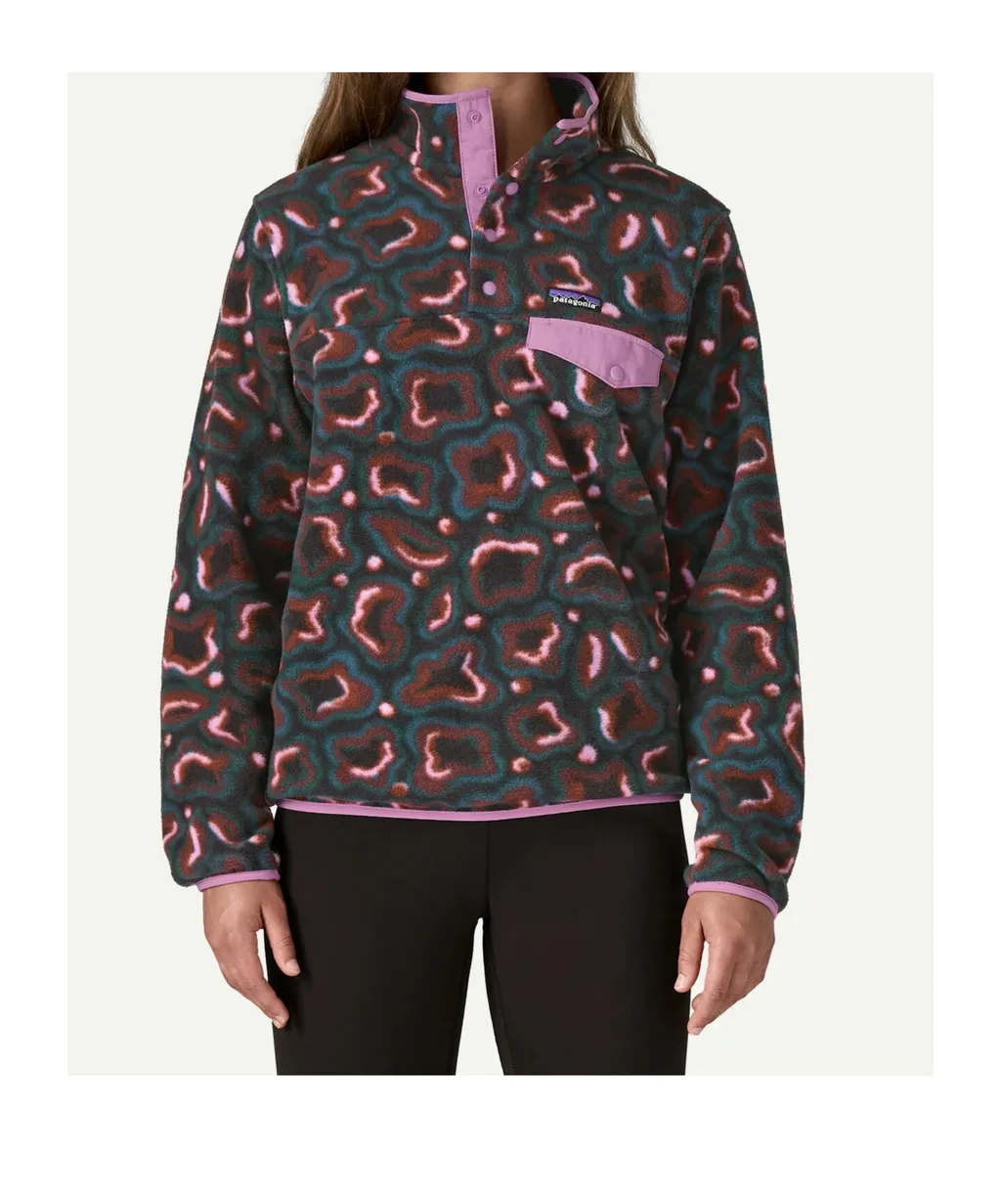 Synchilla Snap-T Fleece Jacket