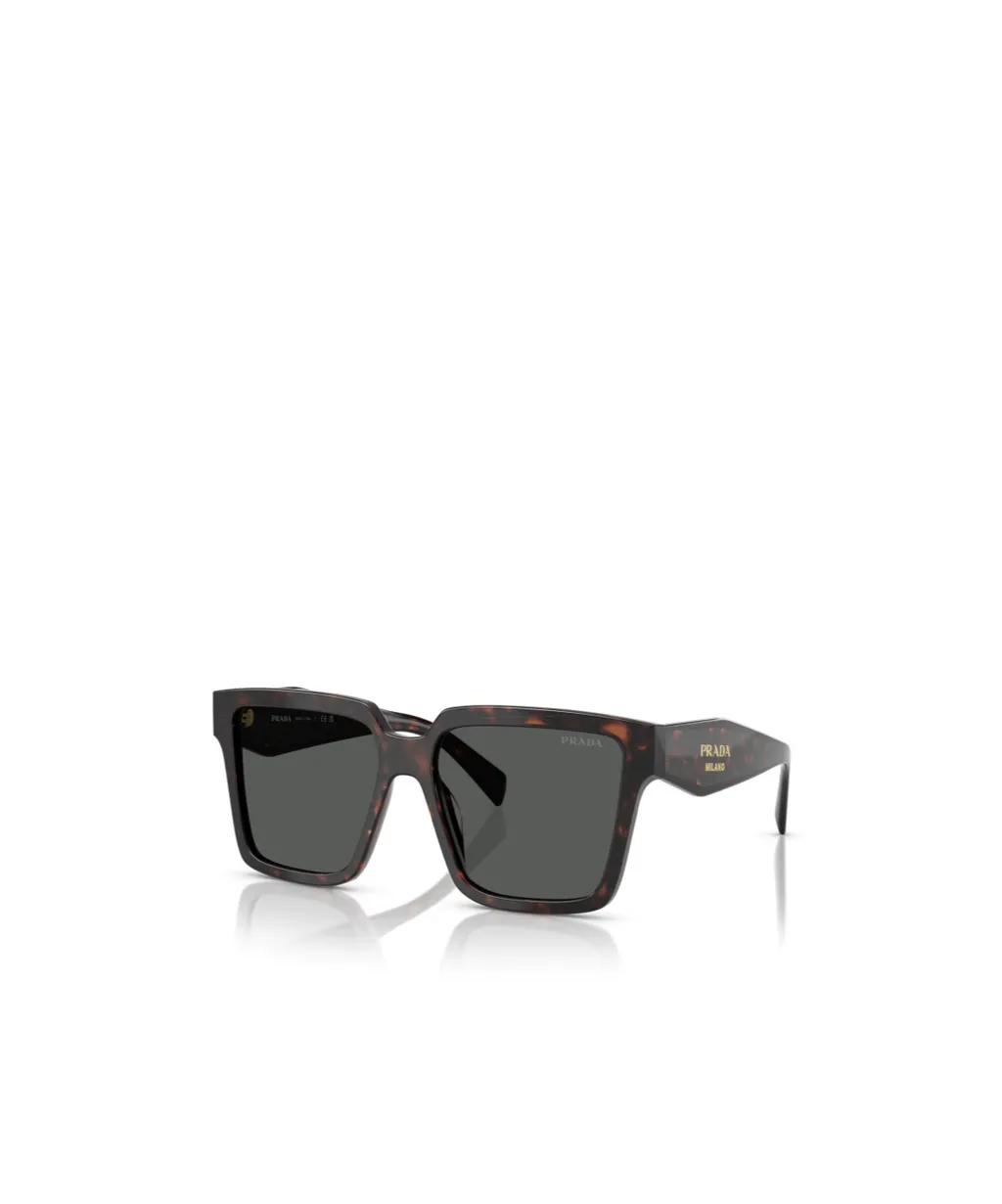 Square Frame Sunglasses