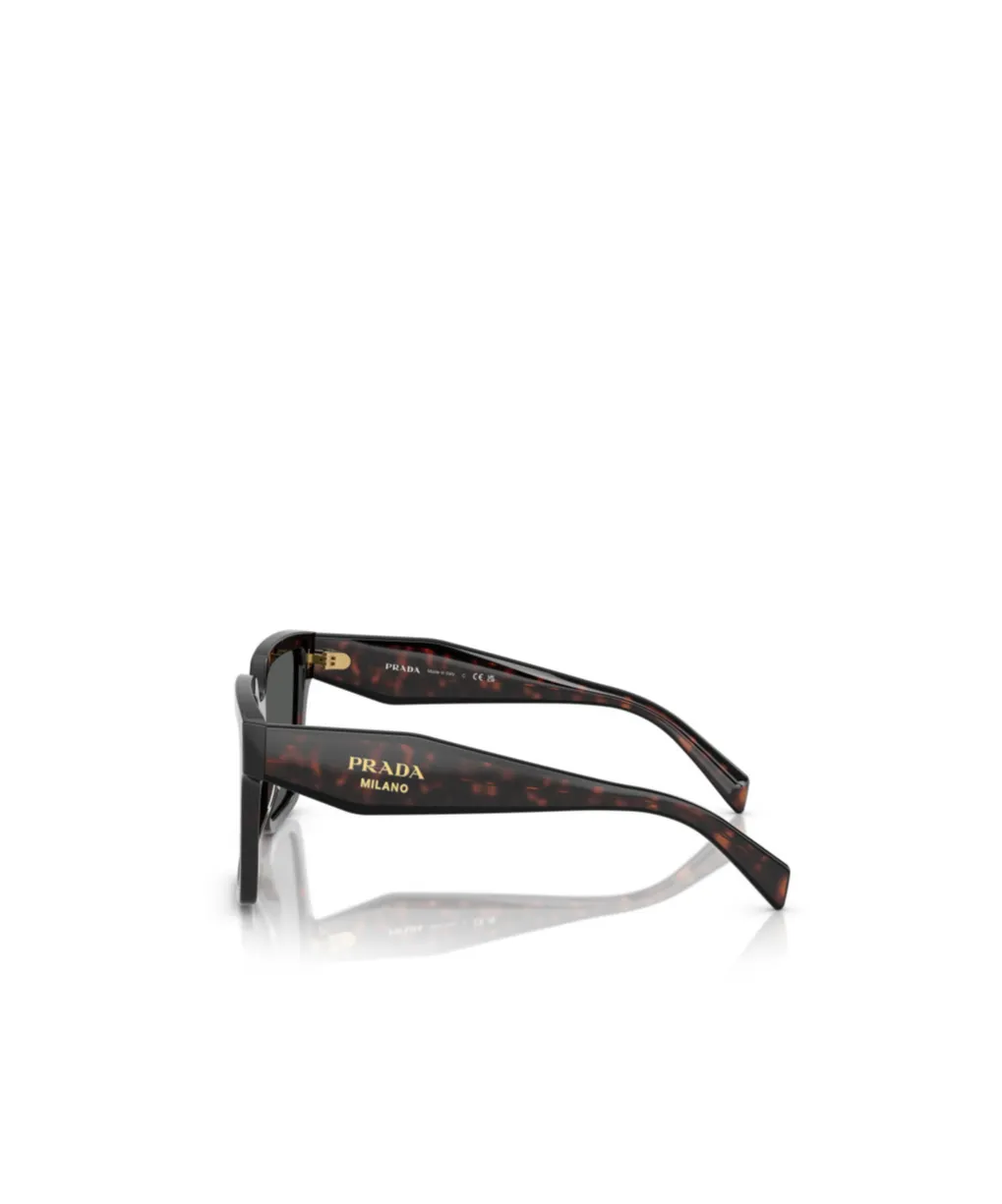 Square Frame Sunglasses