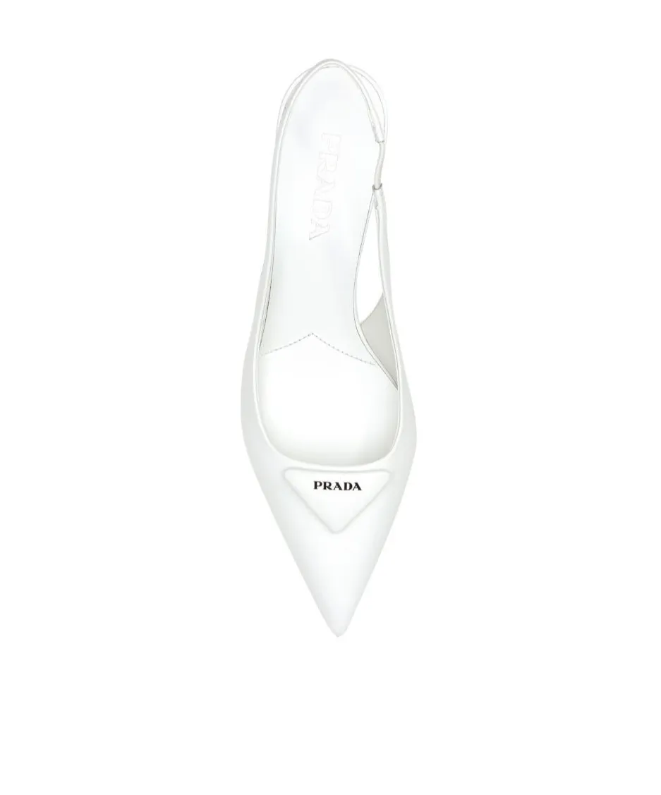 Pointed Toe Slingback Pumps