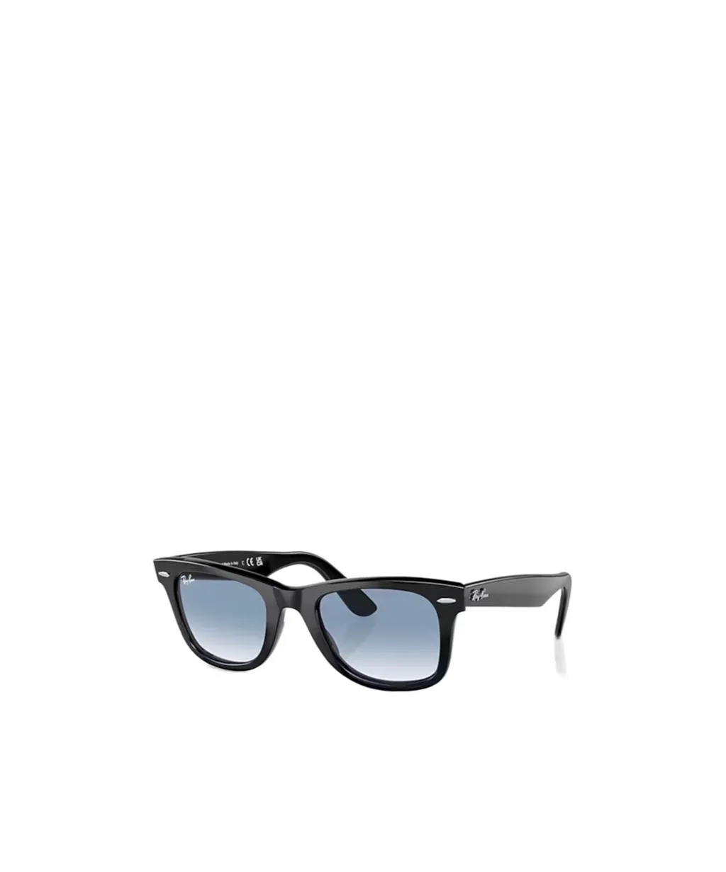 Wayfarer Sunglasses