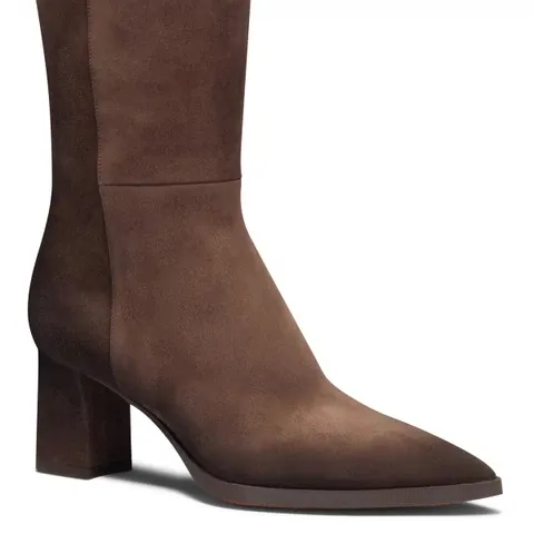 Pointed-Toe Boots