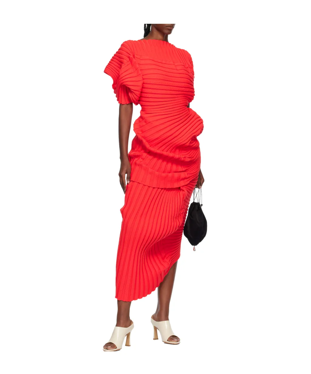 Pleated Maxi Skirt