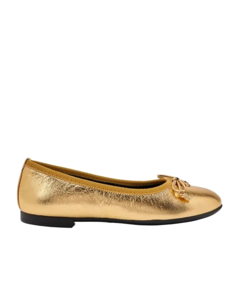 Metallic Leather Ballerina Shoes