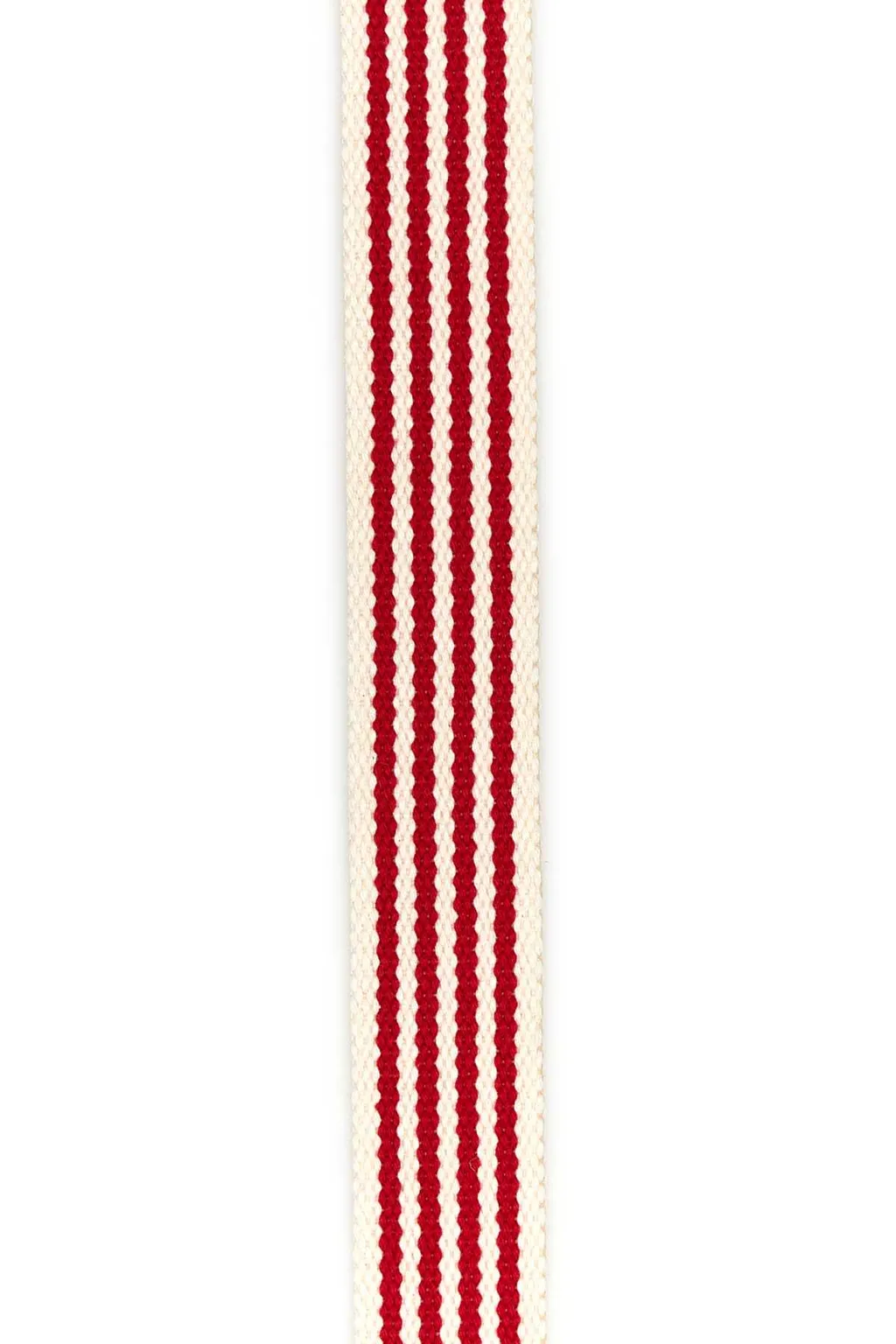 Vlogo Signature Striped Belt