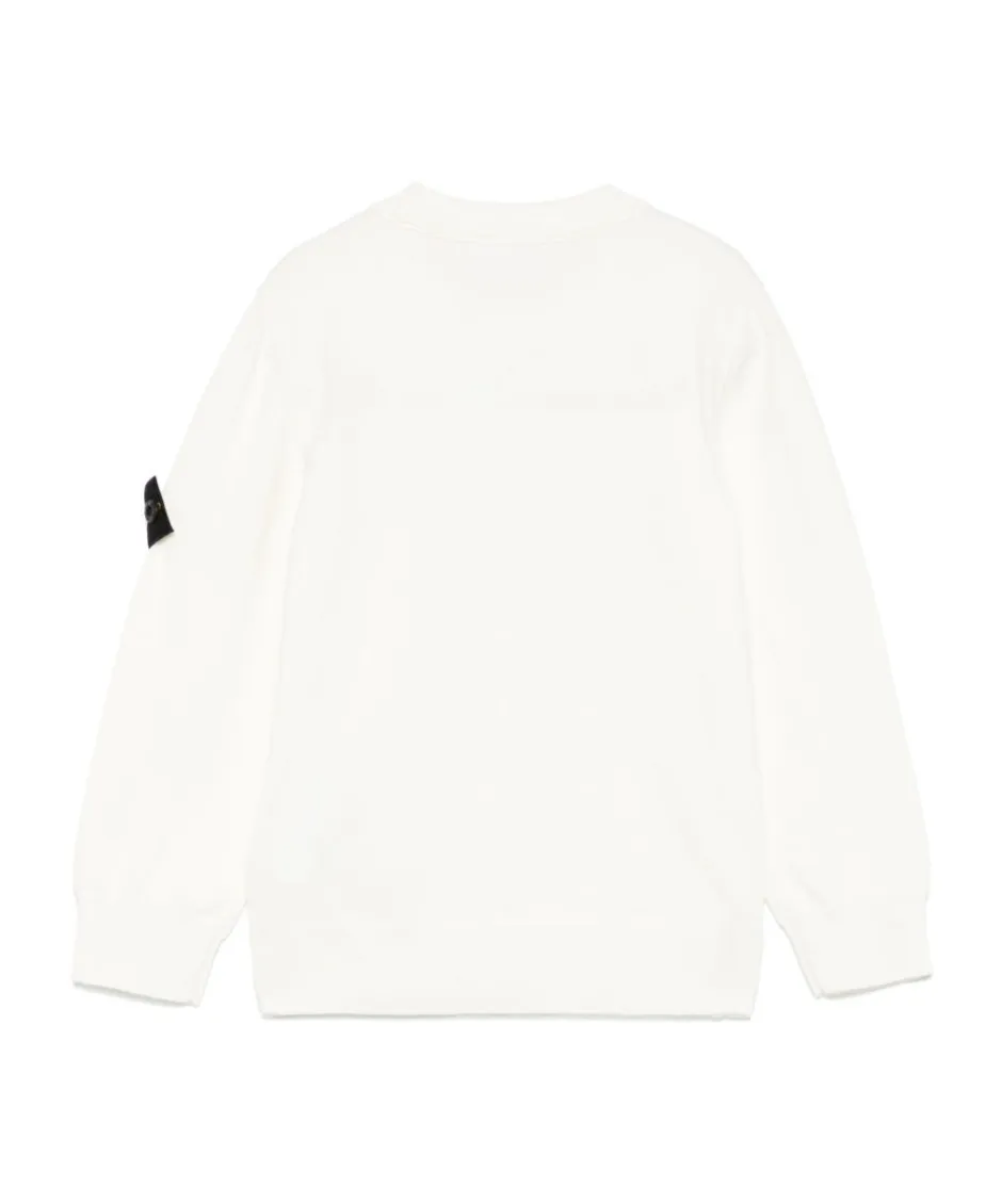 Compass Patch Crewneck Jumper