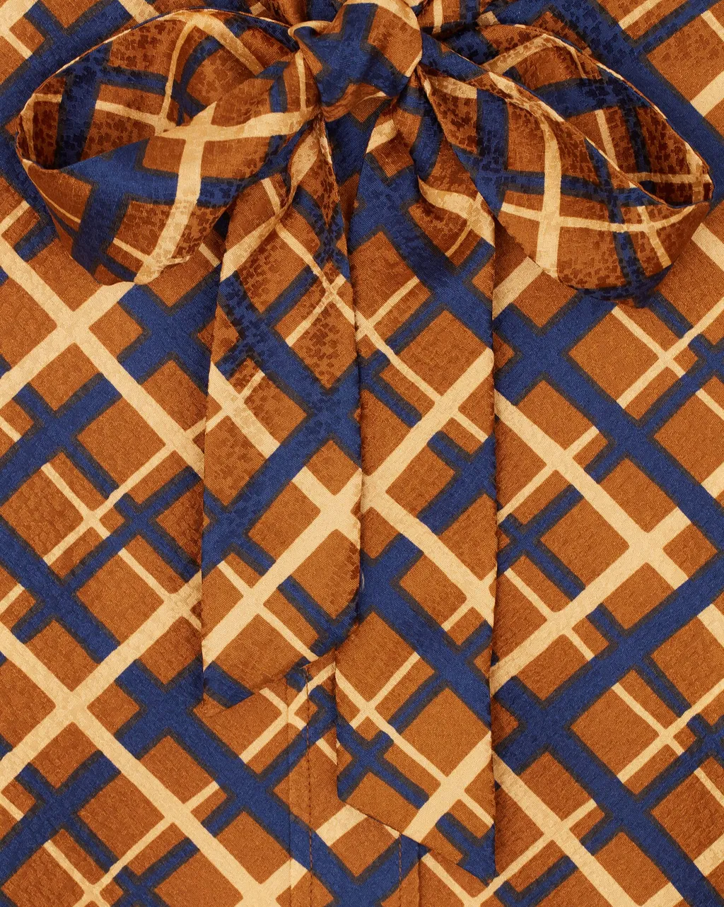 Long-Sleeved Button-Down Blouse