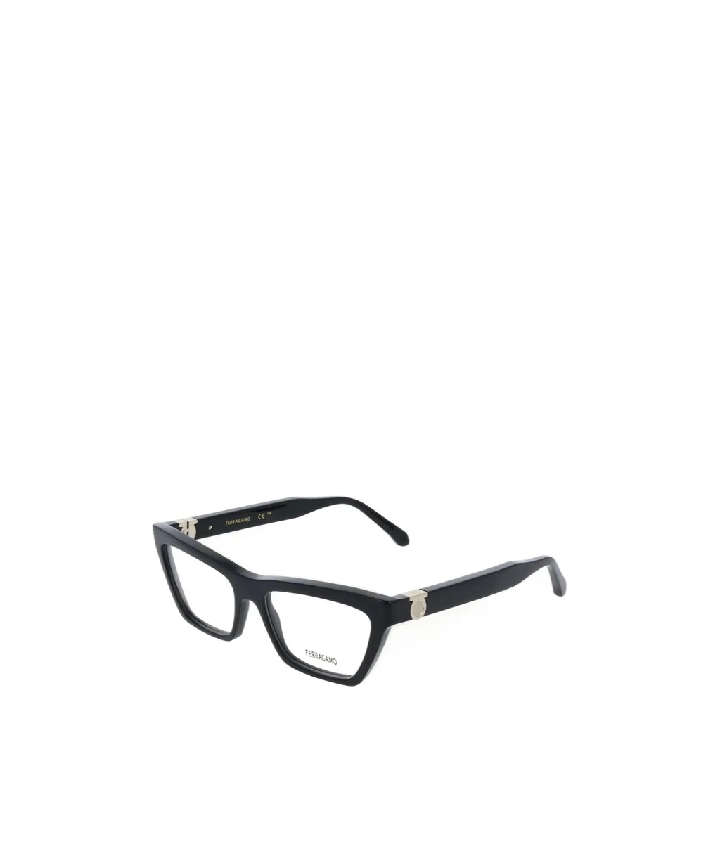 Optical Glasses