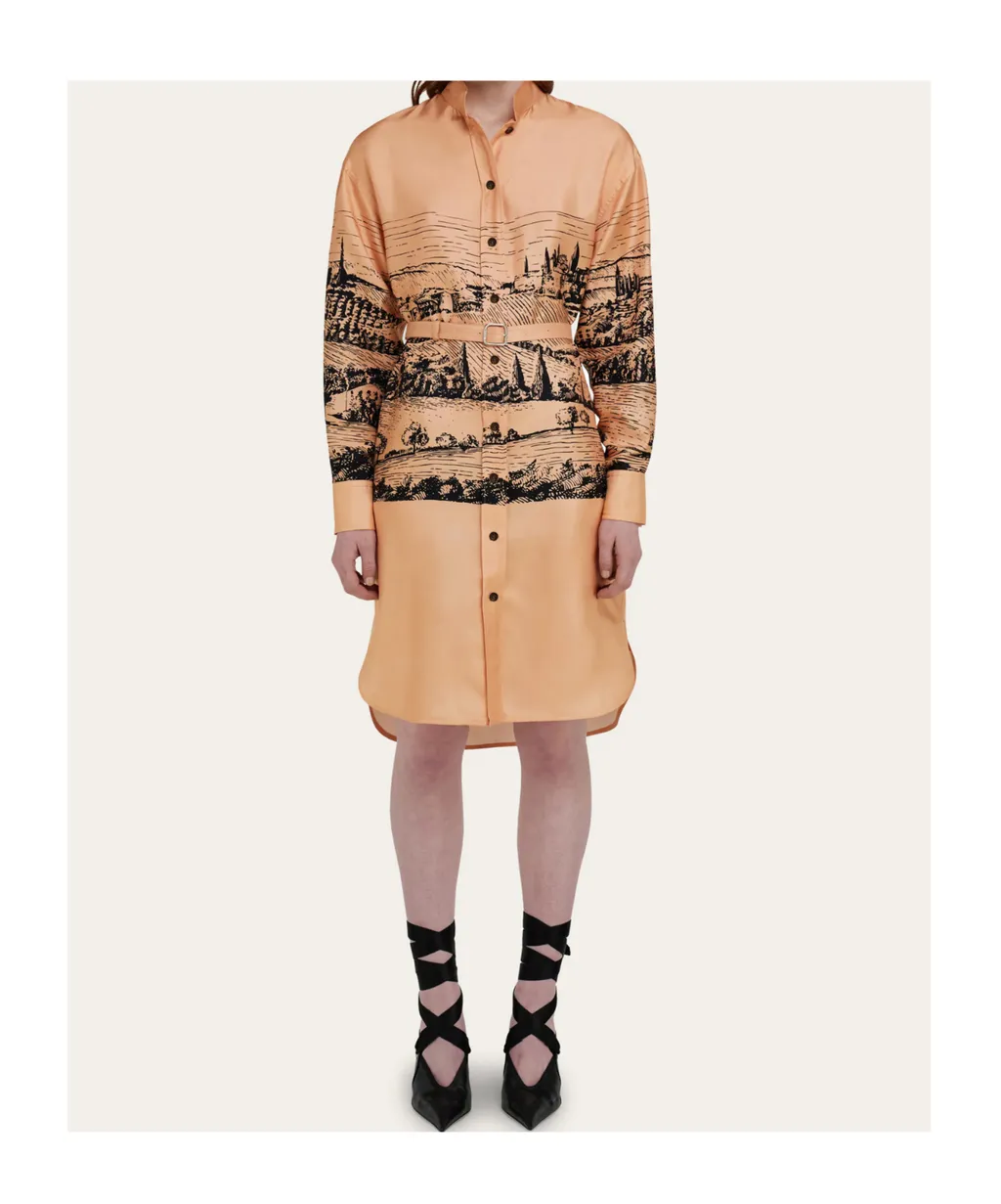 Back To Earth Printed Shirt Dress