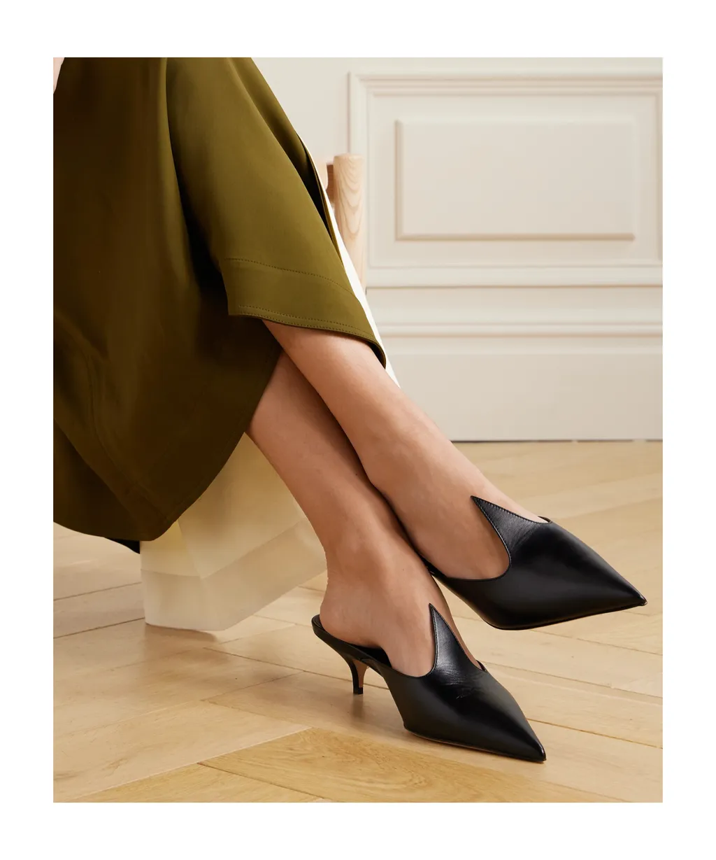 Pointed Toe Mules